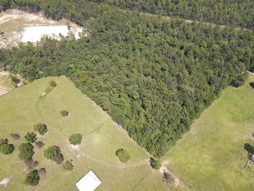 10 Acres Tract 3 In George Count : Lucedale : George County : Mississippi