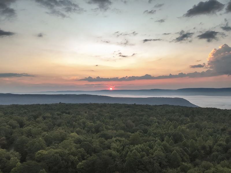 534 Acres in Sequatchie County, TN : Dunlap : Sequatchie County : Tennessee