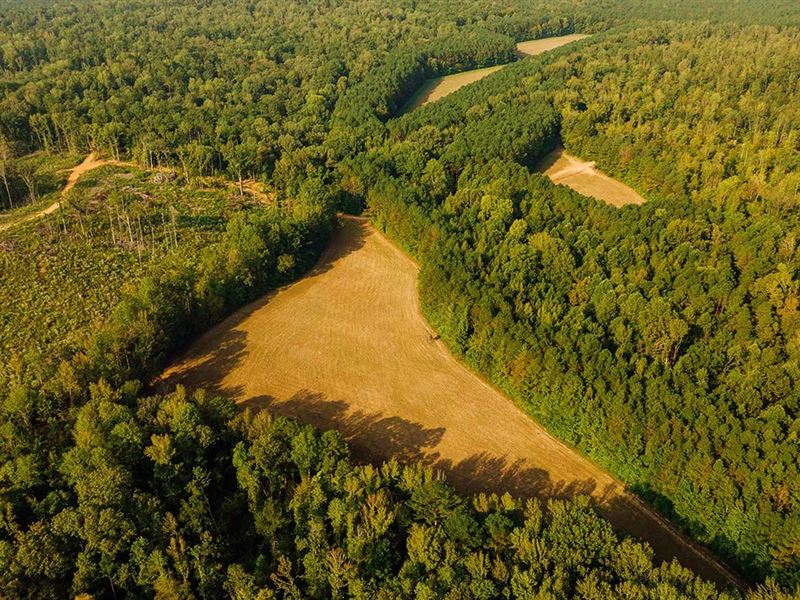779 Acres in Lafayette County, MS : Oxford : Lafayette County : Mississippi