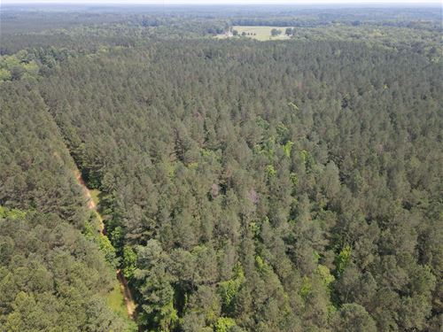 398 Acres In Noxubee County, MS : Macon : Noxubee County : Mississippi