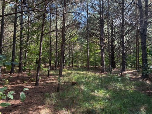 CE Norman Road Homesite : Lincolnton : Lincoln County : Georgia