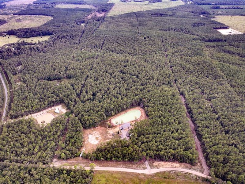 60 Acres, Jones Road : Kountze : Hardin County : Texas