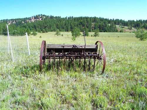 Beasley Hills Ranch : Florissant : Teller County : Colorado