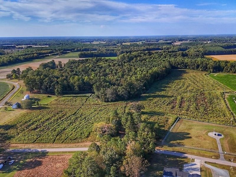 43.47 Acres of Timber and Farm : Fremont : Wayne County : North Carolina