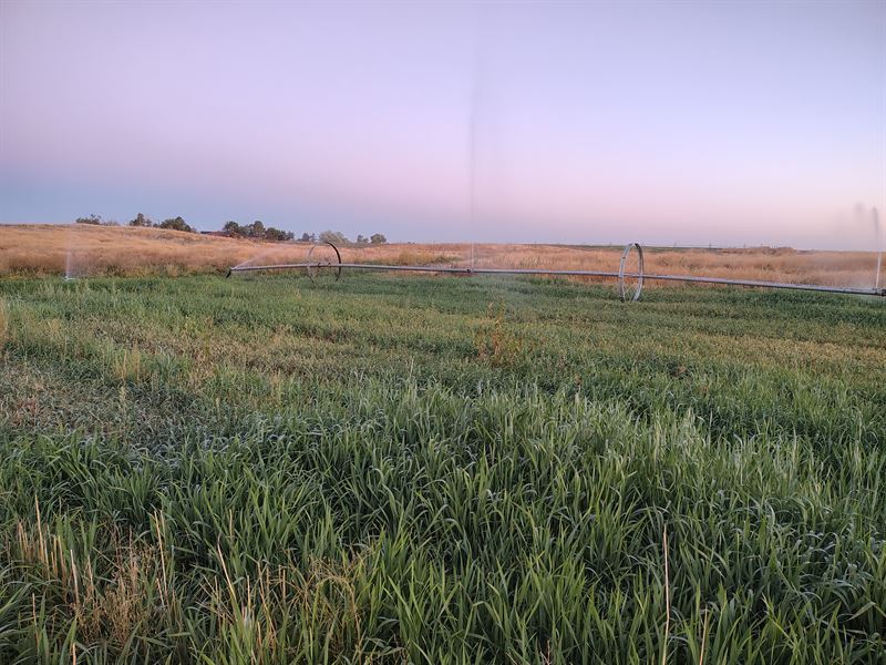Irrigated Farm, Large House, Shops : Rupert : Minidoka County : Idaho