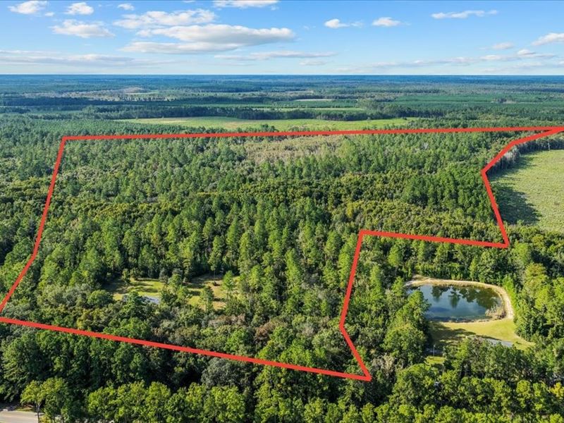 120 Ac Land for Sale in Camden : Woodbine : Camden County : Georgia
