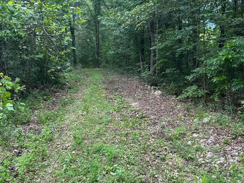 Bucksnort Hunting Paradise : Only : Hickman County : Tennessee