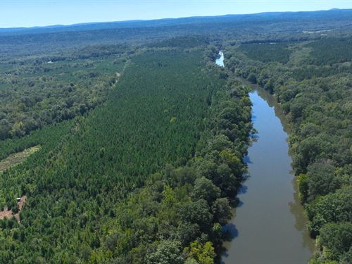 Big Fourche Hunting & Timber : Bluffton : Yell County : Arkansas