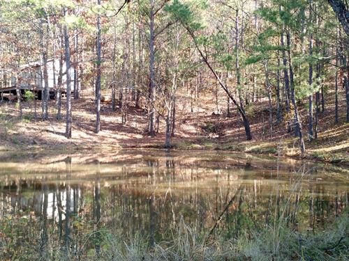 40 Acres Retreat OK : Daisy : Atoka County : Oklahoma