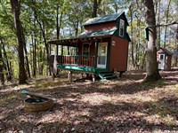 90.5 Acres in Butler County Timber : Fenelton : Butler County : Pennsylvania