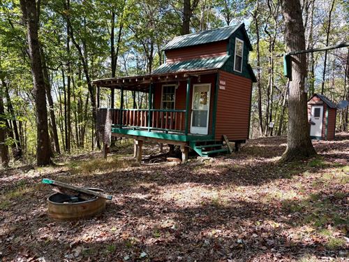 90.5 Acres in Butler County Timber : Fenelton : Butler County : Pennsylvania