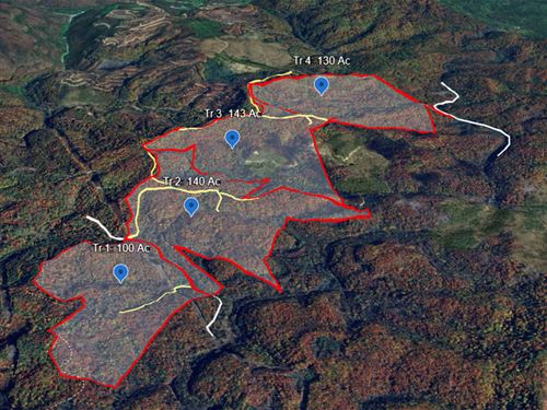 513 Wooded Acres in 4 Tracts : Bluefield : Tazewell County : Virginia
