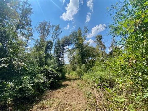 64 Acres On Quinlivan Rd, Magnolia : Magnolia : Pike County : Mississippi