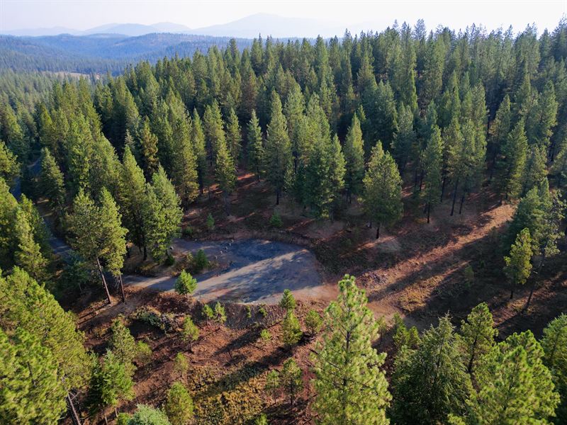 12 Acre New Meadows Lot : New Meadows : Adams County : Idaho