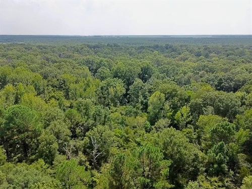 Flowers 10 : Jacksonville : Lonoke County : Arkansas