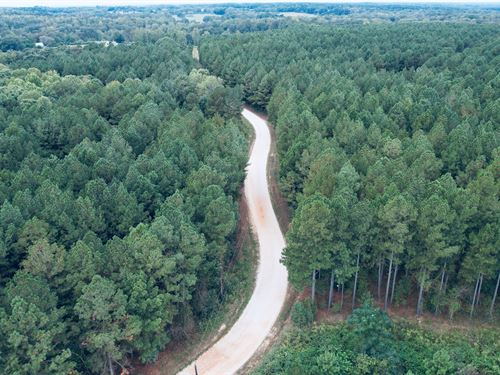 16 Acres, Elbert County, Georgi : Dewy Rose : Elbert County : Georgia