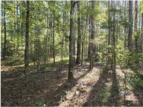 15 Acres in Copiah County in Hazleh : Hazlehurst : Copiah County : Mississippi