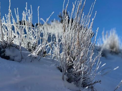 Fabulous 5-Acre Costilla County : San Luis : Costilla County : Colorado