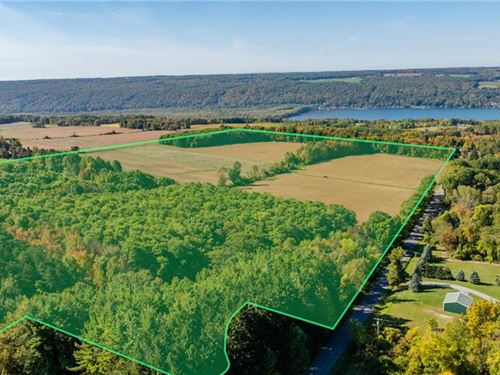 Beautiful 85 Acre Agricultural Land : Moravia : Cayuga County : New York