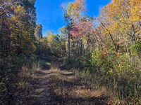 10 Acres in Van Buren County AR : Dennard : Van Buren County : Arkansas