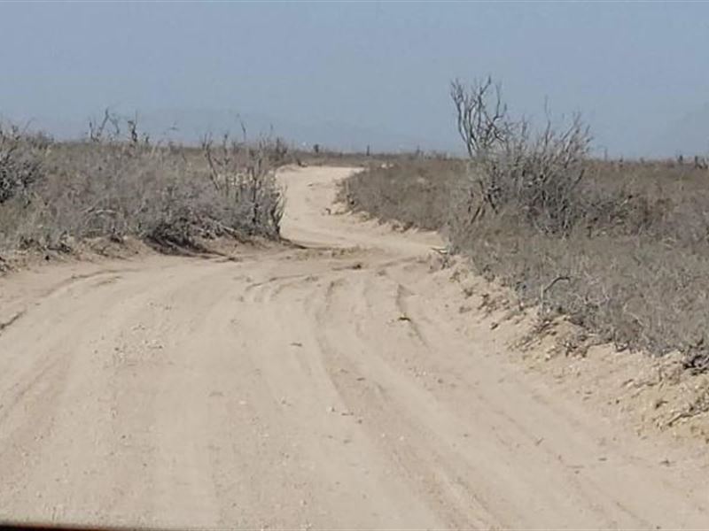 Wonderful 10.39-Acre Ranch Parcel : Salt Flat : Hudspeth County : Texas