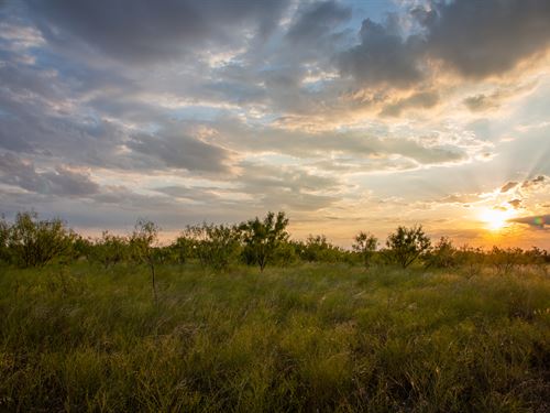 $999 Down Texas Land with Electric : Doole : McCulloch County : Texas