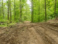 Own Today, $999 Down : Mount Vernon : Rockcastle County : Kentucky