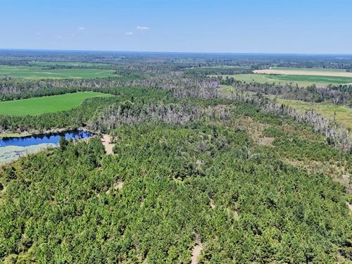 Hurricane Creek Sportsman Paradise : Hazlehurst : Jeff Davis County : Georgia