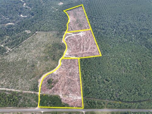 13 Acres, T-3, FM 1416 : Trout Creek : Newton County : Texas