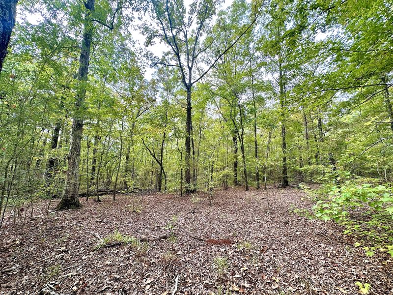 Noble Tract : Tuskegee : Macon County : Alabama