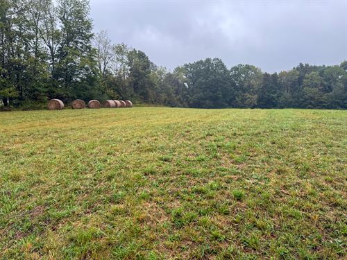 County Rd 11 Lot 3 15 : Dillonvale : Jefferson County : Ohio