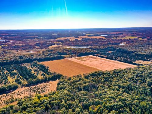 153 Acres Polk County : Saint Croix Falls : Polk County : Wisconsin