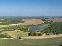 Cropland, Pastureland, Pines & Pond : Hartsfield : Colquitt County : Georgia