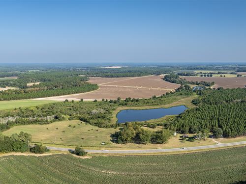 Cropland, Pastureland, Pines & Pond : Hartsfield : Colquitt County : Georgia