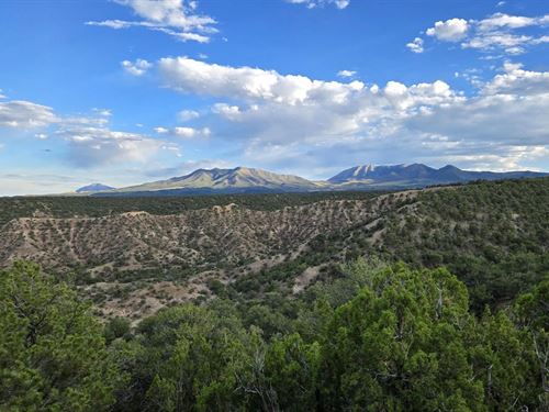 3 Colorado Land & Livestock Cc-1 : Gardner : Huerfano County : Colorado