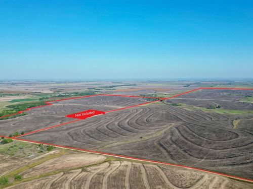 Hammer Farms : Woodston : Rooks County : Kansas