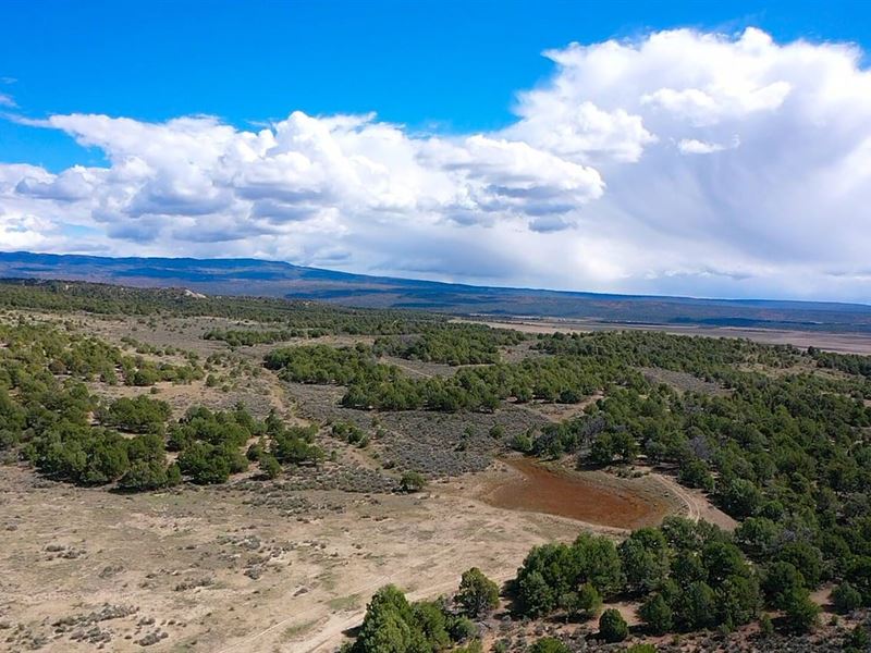 The S & W Ranch : Tierra Amarilla : Rio Arriba County : New Mexico