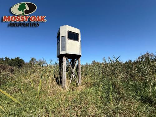 43.96 Acres / N 650 W Warsaw : Warsaw : Kosciusko County : Indiana