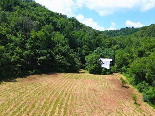 Large Timber / Hunting Tract : Woodbury : Cannon County : Tennessee