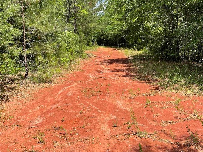 58 Acres in Butler County, AL : Greenville : Butler County : Alabama