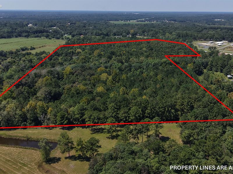 53.58 Acres in Geneva County, AL : Hartford : Geneva County : Alabama