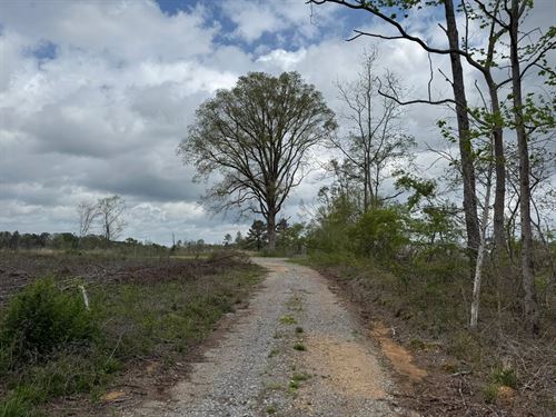 38 Acres In Scott County, MS : Forest : Scott County : Mississippi