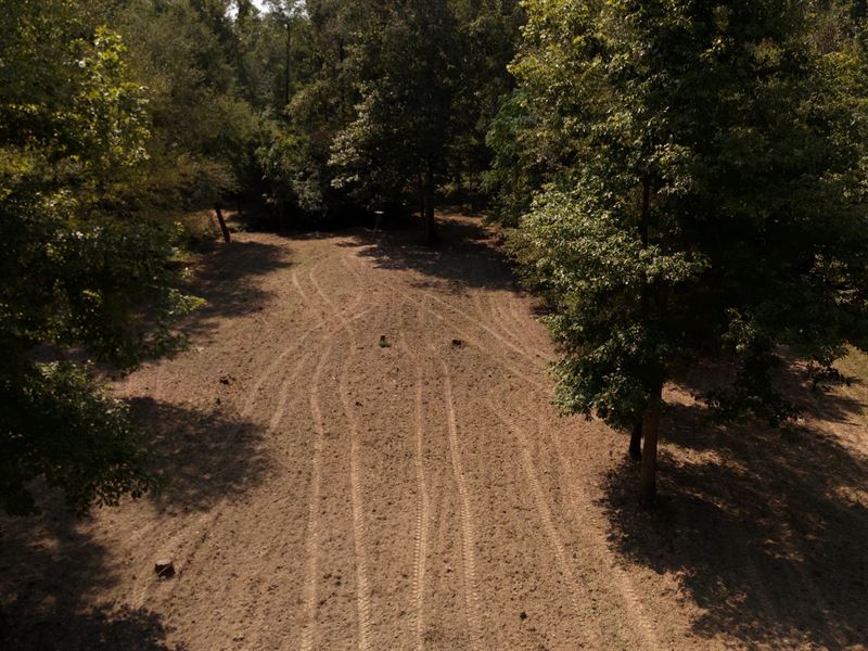 120 Acres in Claiborne Parish, LA : Bernice : Claiborne Parish : Louisiana