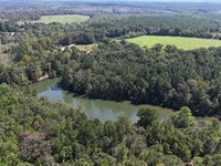 Pike Farm And Timber, 143 Acres : Troy : Pike County : Alabama