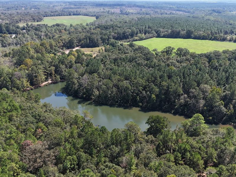 Pike Farm and Timber, 143 Acres : Troy : Pike County : Alabama