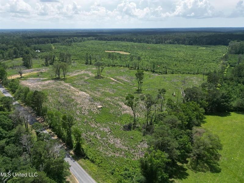 Land for Sale in Amite County, MS : Liberty : Amite County : Mississippi