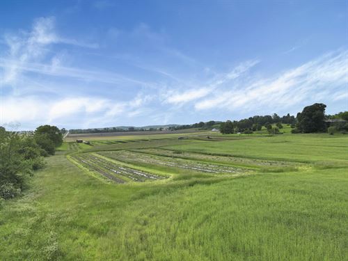 77 Acres of Certified Organic Farm : Thornville : Perry County : Ohio