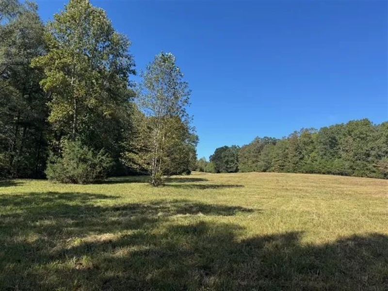 43 Acres On Highway 183 in Pick : Pickens : Pickens County : South Carolina
