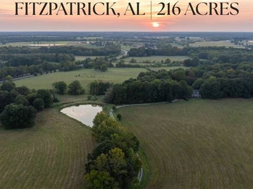 Panther Creek Farms 216 Acres : Fitzpatrick : Bullock County : Alabama