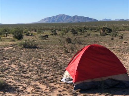 Wide Open Texas Build Camp Hunt : Fort Hancock : Hudspeth County : Texas